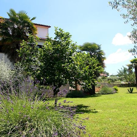 Korsa Apartment Sveti Lovreč Pazenatički 외부 사진