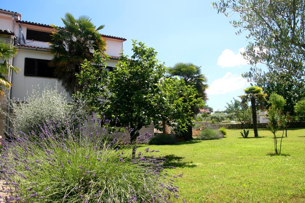 Korsa Apartment Sveti Lovreč Pazenatički 외부 사진