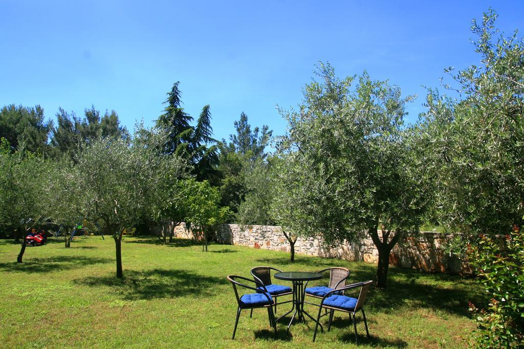 Korsa Apartment Sveti Lovreč Pazenatički 외부 사진